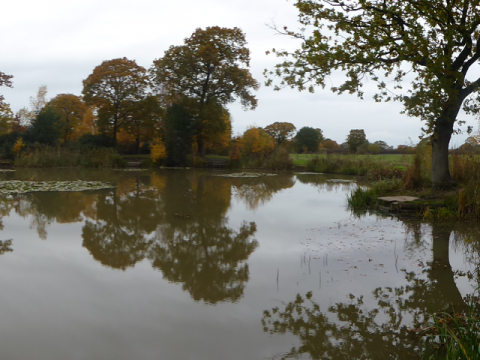 Clover Pond