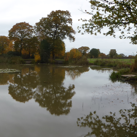 Clover Pond