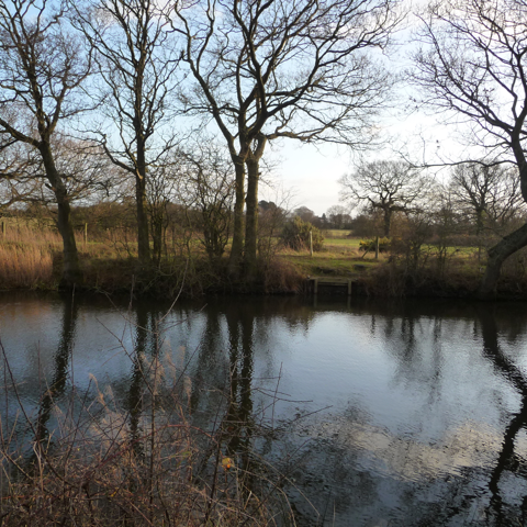 Ditch Pond