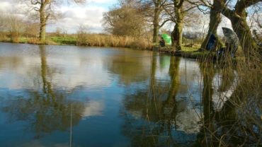 Carp Pond