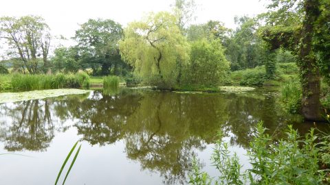 Newby Pond