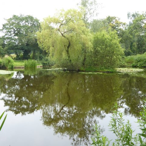 Newby Pond