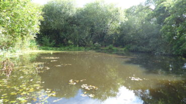 Hut Pond