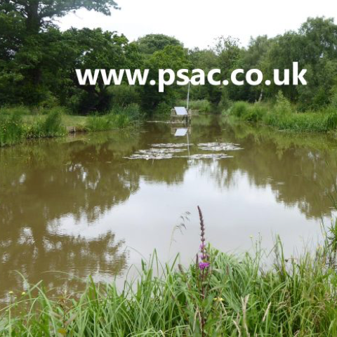 The Fireman’s Pond