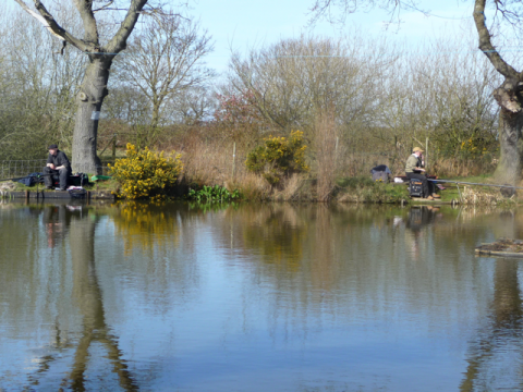 May and June Pond