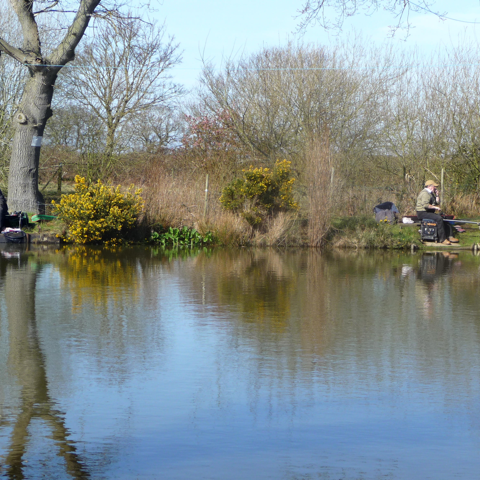 May and June Pond