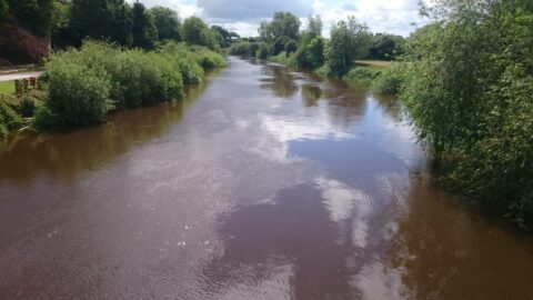 Dee Anglers Association (River Dee)