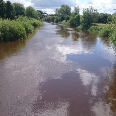 Dee Anglers Association (River Dee)