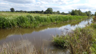 Dee Anglers Montgomery Canal (Lower Frankton)