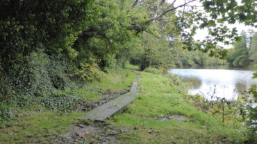 River Weaver Navigation (Sutton Weaver)