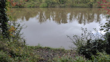 River Weaver Navigation (Sutton Weaver)