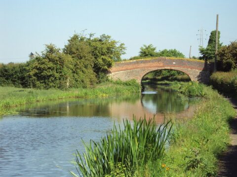 Shropshire Union Canal Fishing Extended