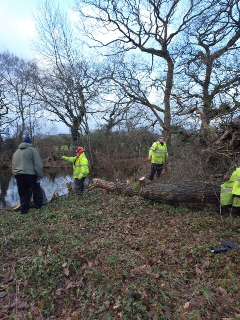 Storm Damage Clearance and Repair Continues