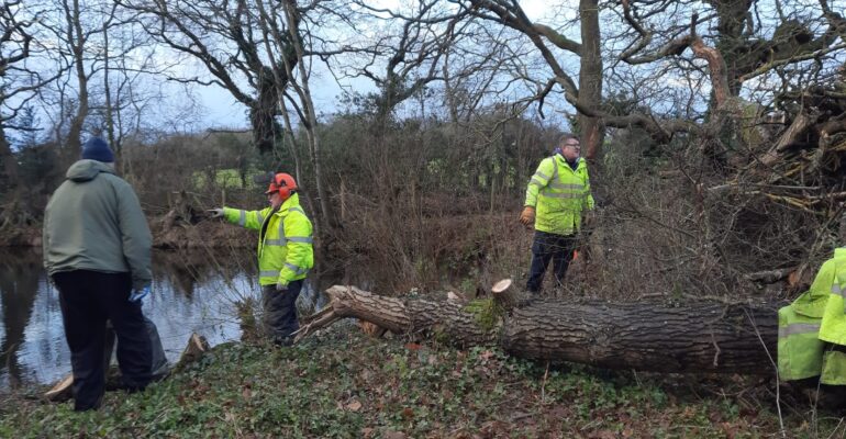 Storm Damage Clearance and Repair Continues